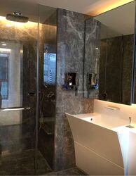 Cairnhill Nine (D9), Apartment #532755331
